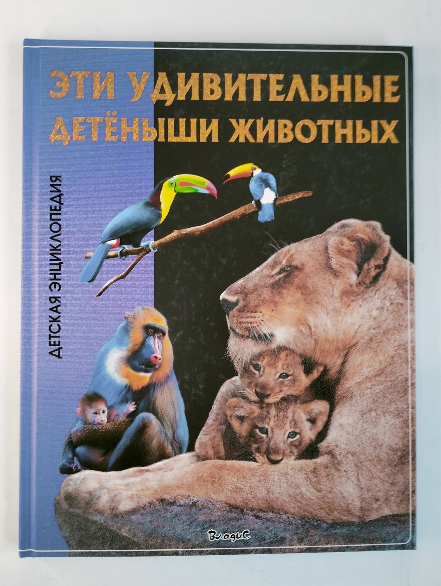 Детёныши животных. Детская энциклопедия - фото №6
