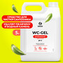 Гель для чистки сантехники WC-gel Professional Grass