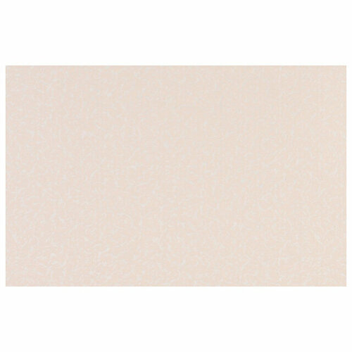 Обои VILIA покраску виниловые на флизелиновой основе 120 гм2 10х106м арт Ф6-10-1000-62 4016₽