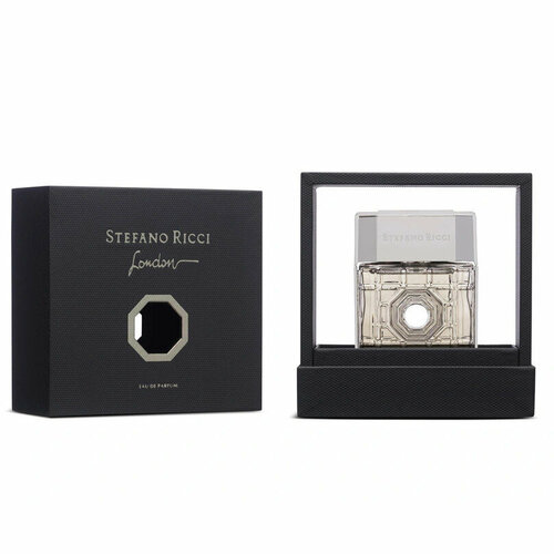 Stefano Ricci London парфюмерная вода 100 мл унисекс 12473₽