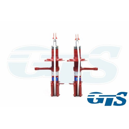 Комплект стоек передней подвески DEMFI Premium для ам ВАЗ 2110-12 газмасло -30 мм 8989₽