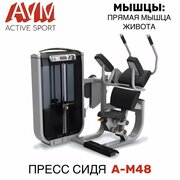 Профессиональный силовой тренажер для зала Пресс сидя A-M48