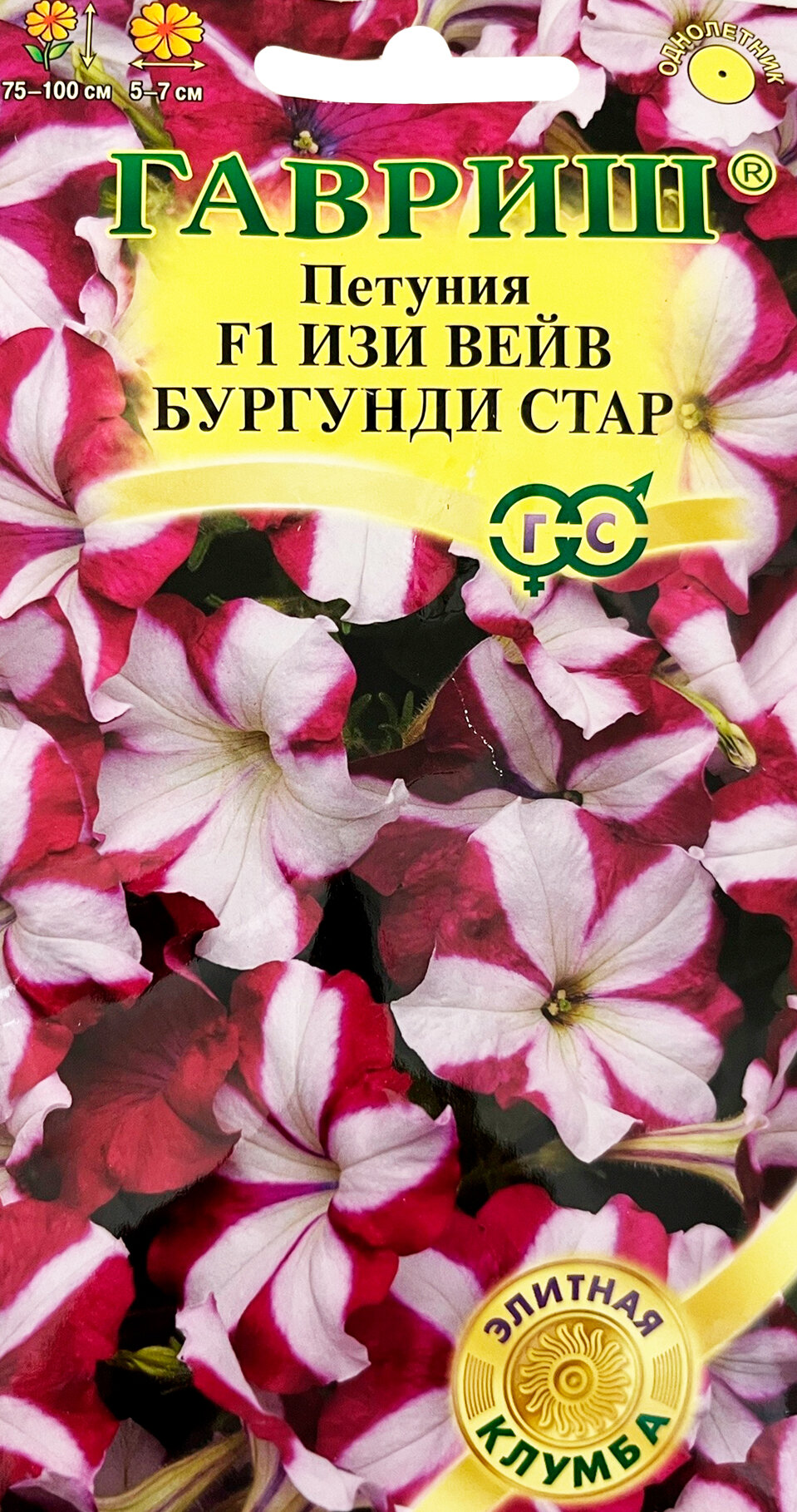 Петуния Изи Вейв бургунди стар F1 (Минитуния) суперкаскад. 4 шт. гранул. проб. серия Элитная клумба