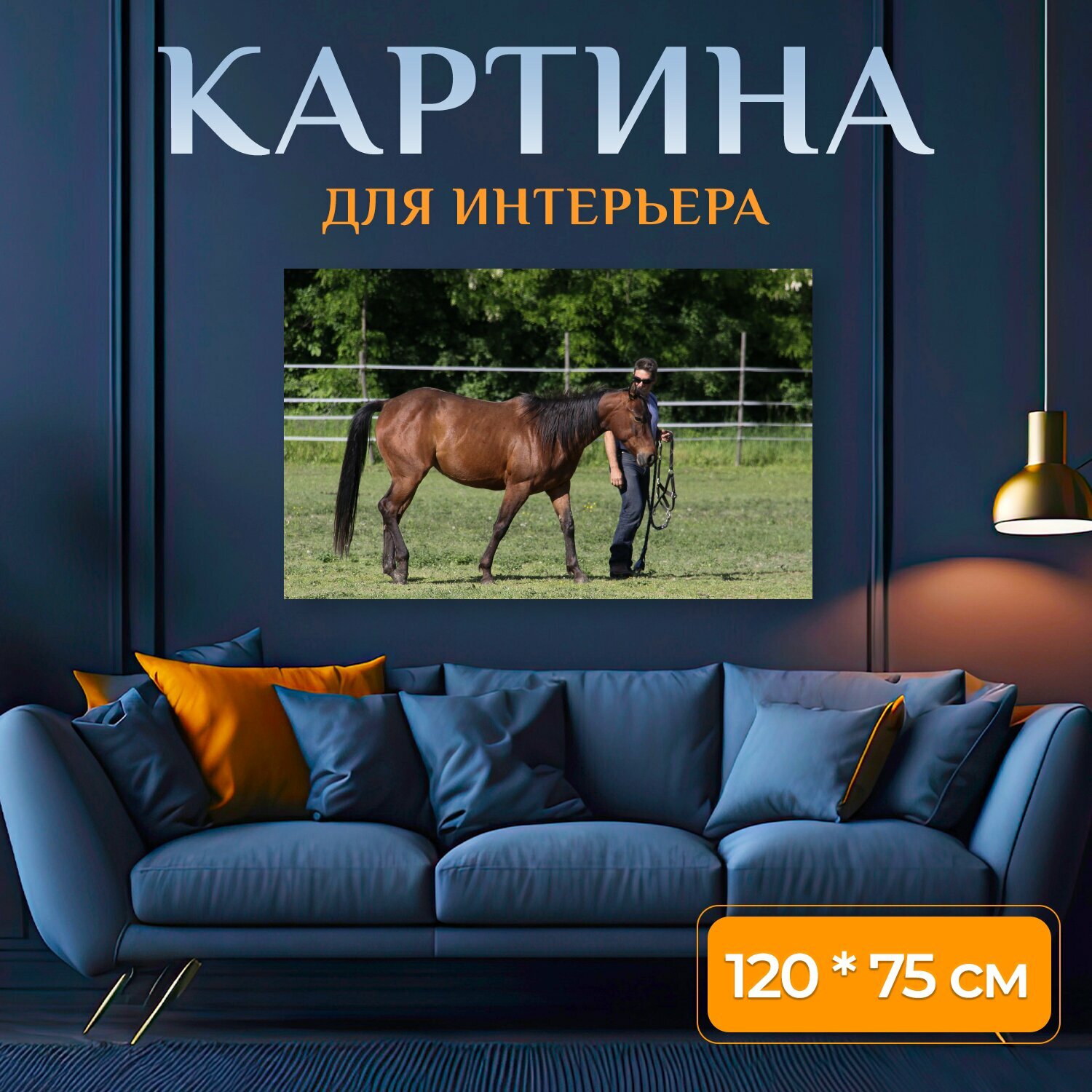 Картина на холсте "Лошадь, выездка, животные" на подрамнике 120х75 см. для интерьера