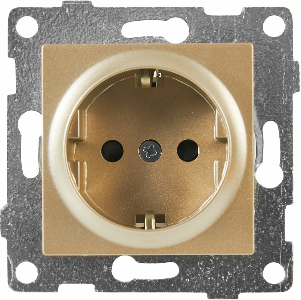 фото Розетка встраиваемая Gusi Electric с заземлением с защитной шторкой цвет шампань