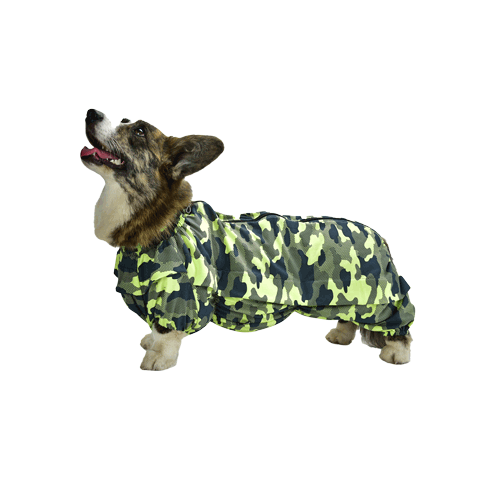 Пыльник на Корги ДжекиДог с ловушками от клещей для собаки-девочки 55 цв Желтый камуфляж 2280₽