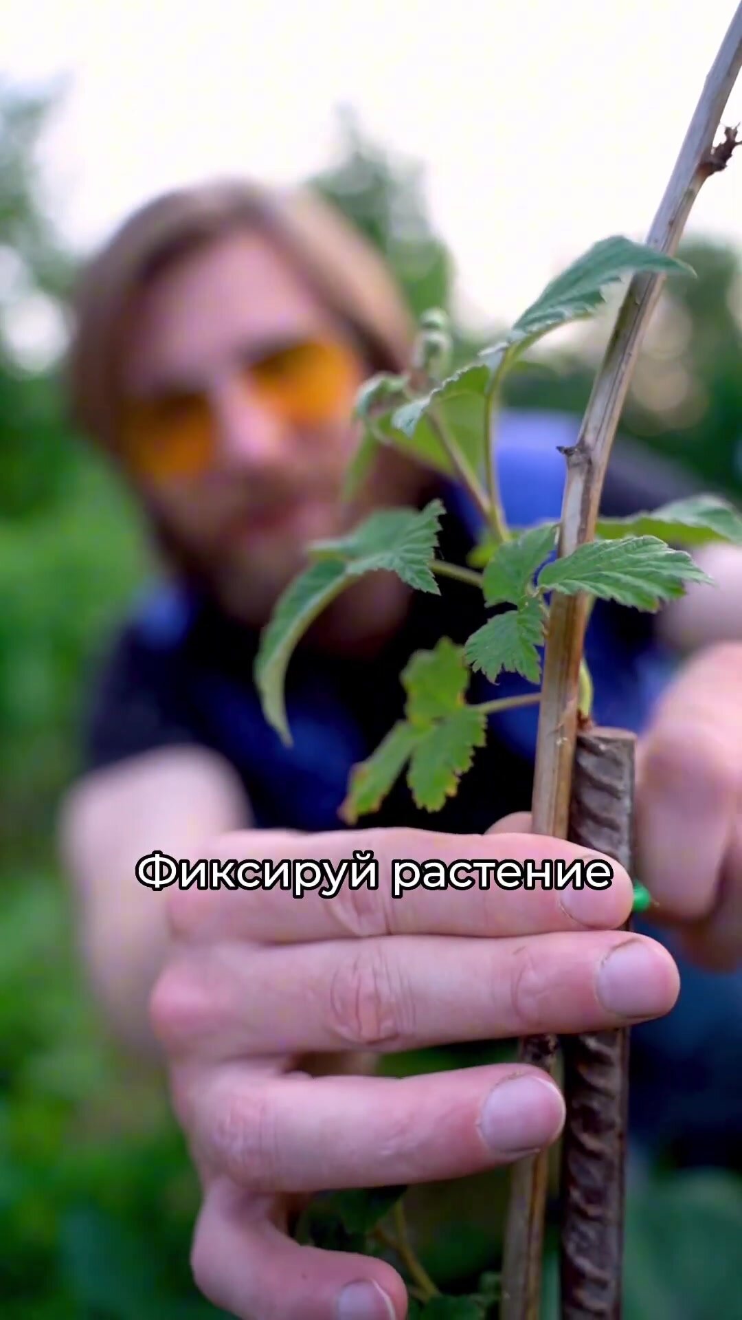 Мягкая проволока для подвязки комнатных растений, цветов и томатов, металл в ПВХ, 4 мм х 10 м — фото 1