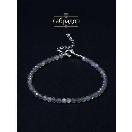 фото Браслет на ногу brandlove, длина 21 см, 1 шт., серебряный