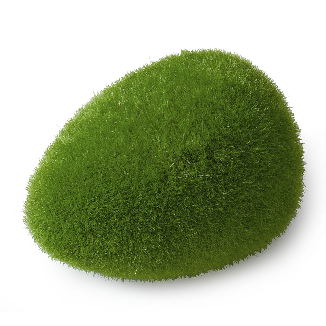 Декоративный мох для аквариума AQUA DELLA "Moos Ball", 10x6.5x5см (Бельгия)