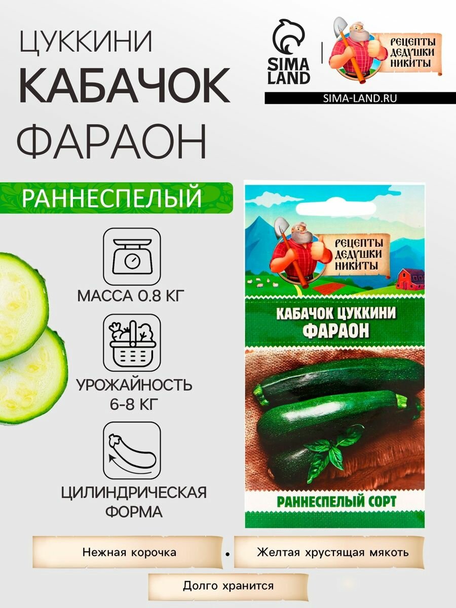Семена Кабачок цуккини 10 пачек 