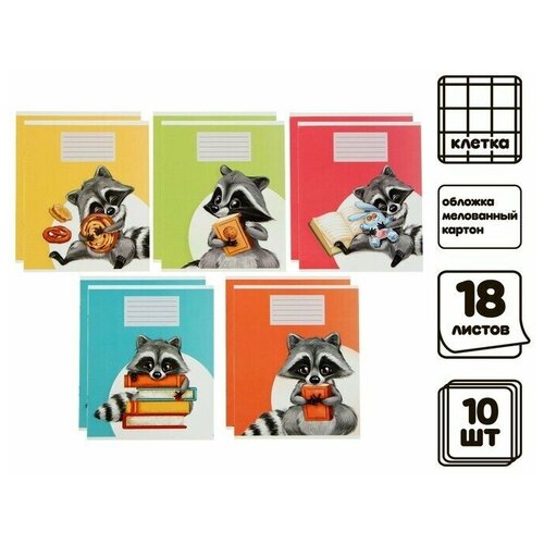 Комплект тетрадей 18 листов 10шт в клетку 501₽