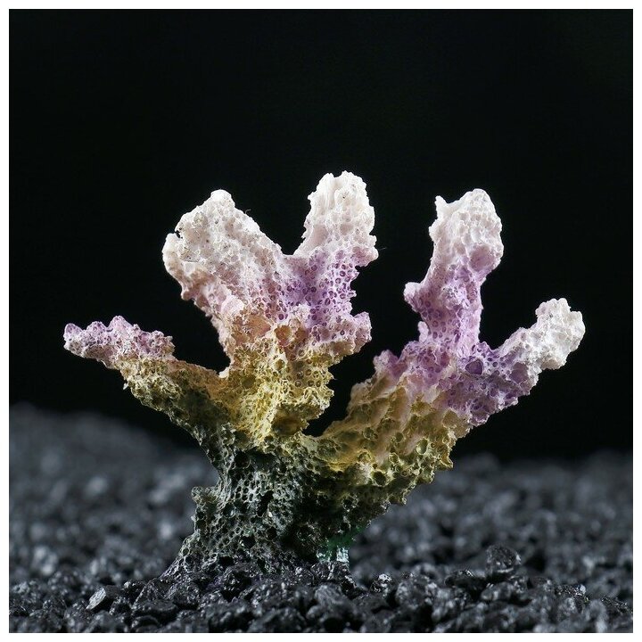 Декоративный коралл "Синулярия", 7 х 4 х 7 см
