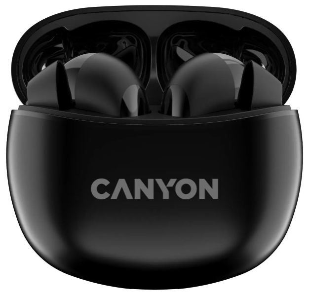 Беспроводные bluetooth наушники Canyon TWS-5 (DF1CNSTWS5B) Черный