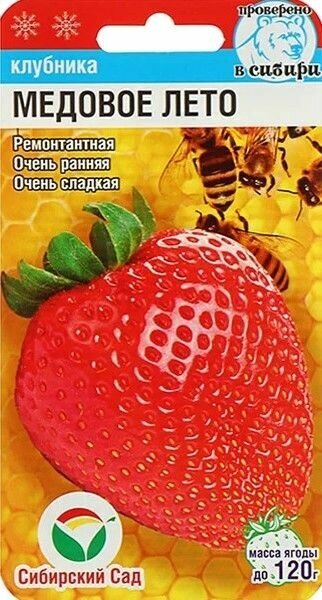 Семена фруктов и ягод Клубника Медовое лето (5 шт. семян)