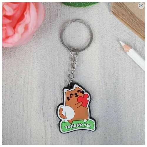 фото Брелок на ключи автомобиля рюкзак сумку сима-ленд