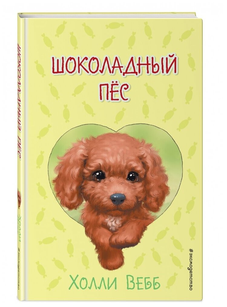 Шоколадный пёс (выпуск 5) (Холли Вебб) - фото №5