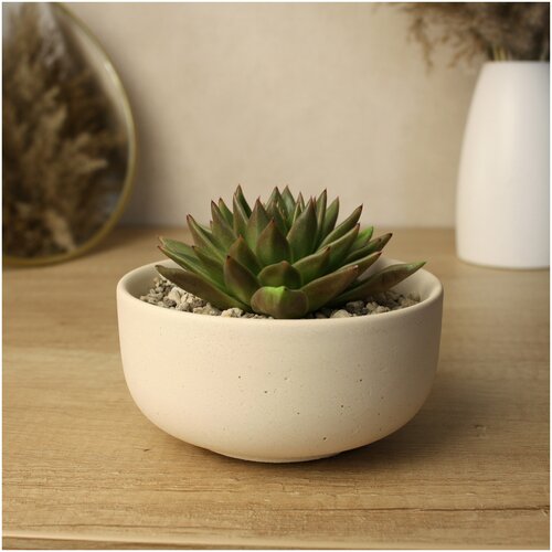 Горшок для цветов, кашпо 