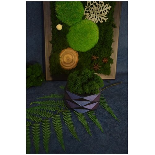 синий, фиолетовый