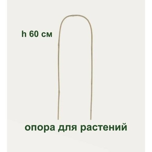 Опора для растений высотой 60 см, бамбук, для поддержки комнатных декоративных и вьющихся растений, подходит для орхидей