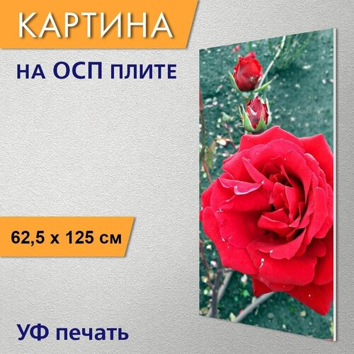 Вертикальная картина 