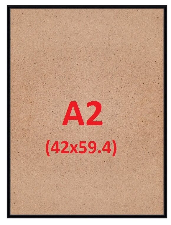 Рамка 42.0x59.4 (А2) Nielsen алюминий черный №2