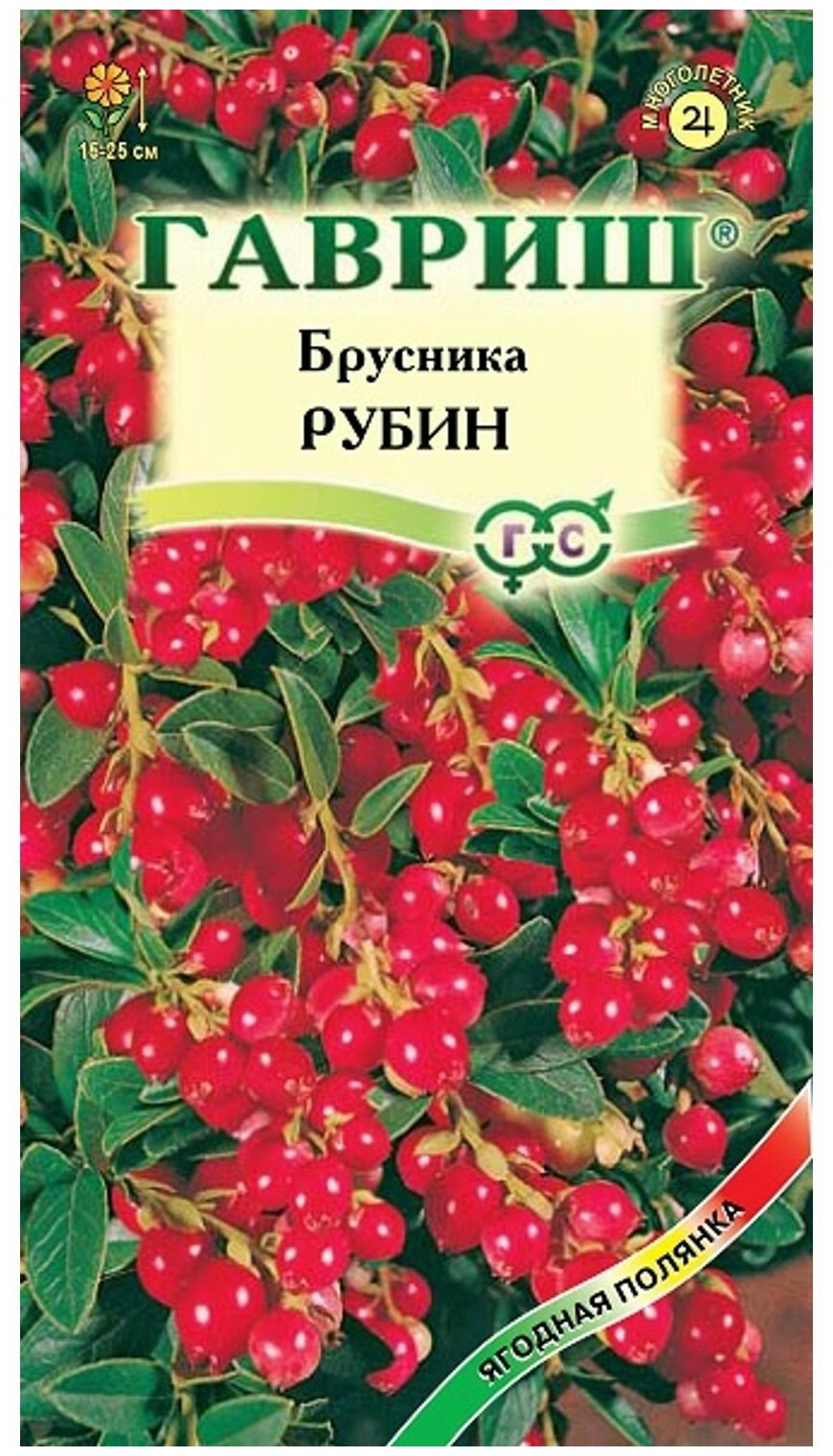 Семена Брусника Рубин 20 шт.