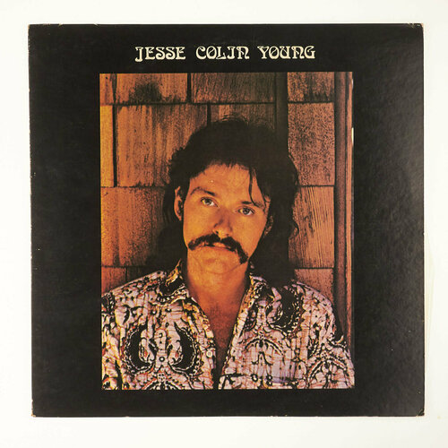 Jesse Colin Young - Song For Juli / Винтажная виниловая пластинка / Lp / Винил виниловые пластинки warner bros records various artists howard stern private parts the album 2lp