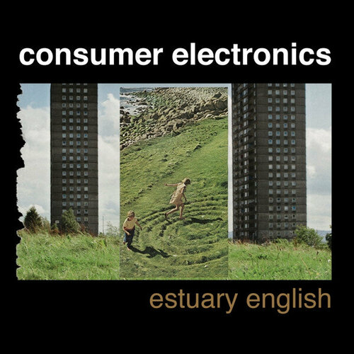 Consumer Electronics Estuary English (2LP+CD) disney english мы любим животных cd