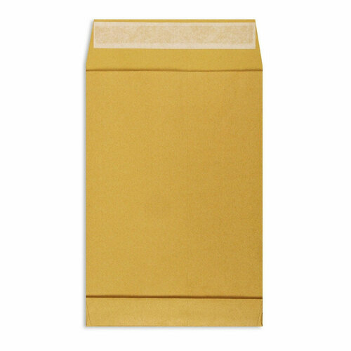 Пакет в упаковке Крафт С4стрип Extrapack 229х324 100г 250шт/уп/6541