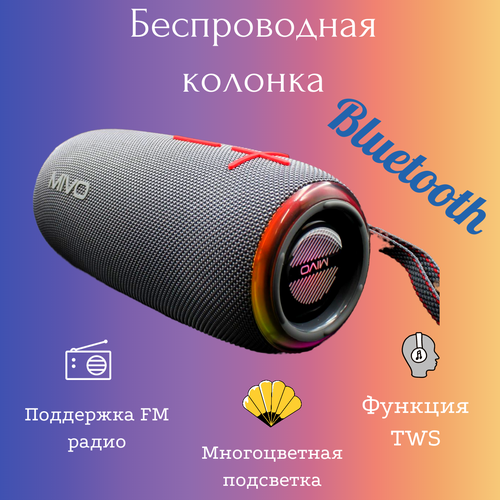 Портативная колонка Bluetooth MIVO M21 3000 мАч (IPX6 водонепроницаемость)