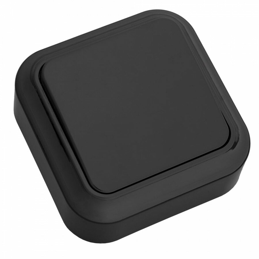 фото Bylectrica пралеска выкл. ОУ 1 кл. 6А черный, (А16-131 черный) (арт. 788012)