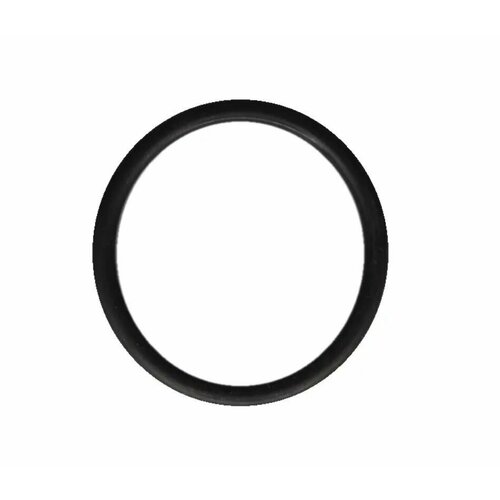Уплотнительное кольцо (прокладка) ТЭНа для водонагревателя Ariston, Thermex - 819992
