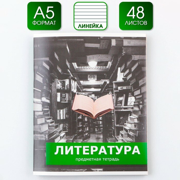 Предметная тетрадь, 48 листов, «предметы», со справочными материалами «Литература», обложка мелованный картон 230 гр, внутренний блок в линейку 80 гр, белизна до 80%, блок №2.