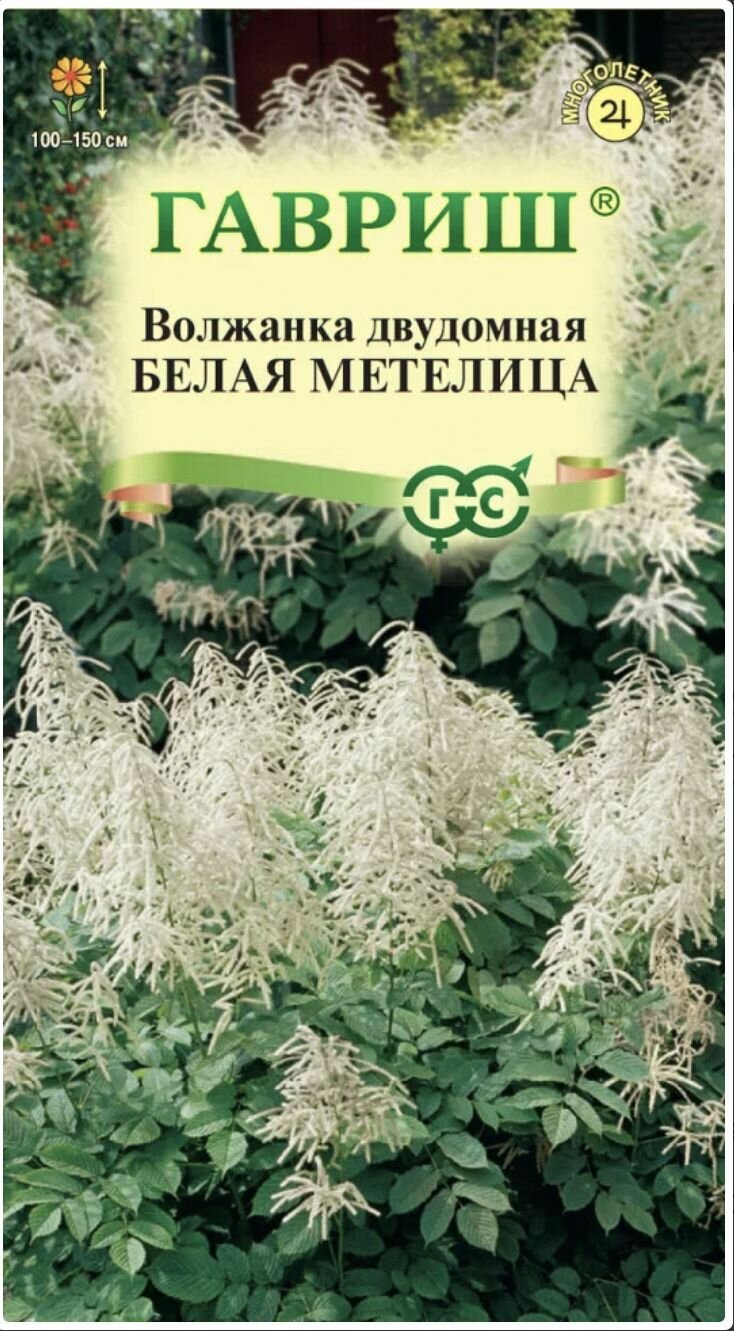 Волжанка двудомная Белая Метелица 2 пакета семена 002 гр Гавриш многолетник