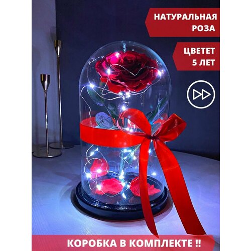 Роза в колбе с подсветкой