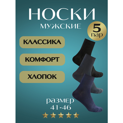 Носки APOLLON, 5 пар, размер 41-46, серый, синий, черный