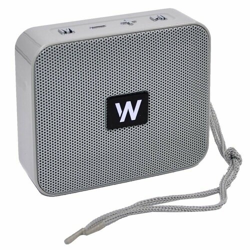 Колонка портативная WALKER WSP-100 109000₽