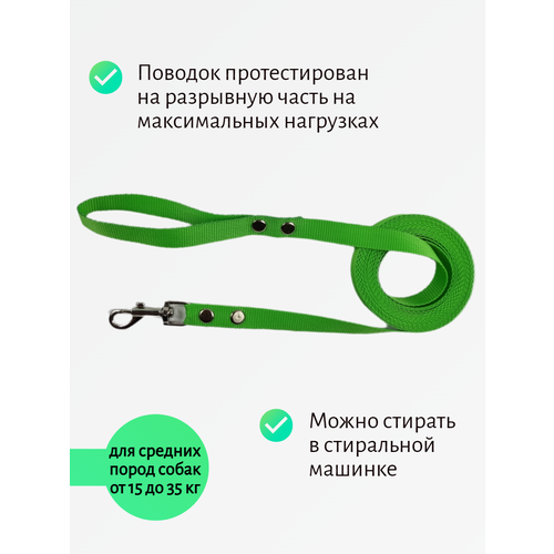 Поводок Хвостатыч для собак нейлоновый классический 2 м х 20 мм (Салатовый)