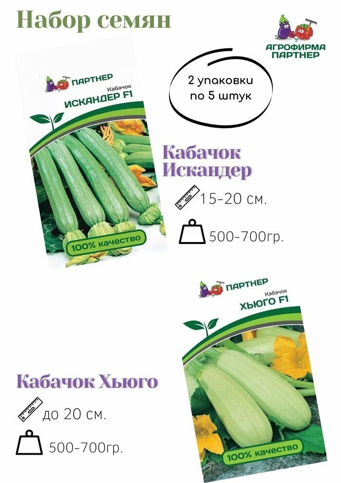 Кабачок хьюго описание сорта фото отзывы садоводов