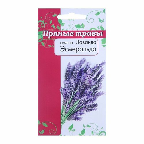 букет из сухоцветов лаванда Семена Лаванда Эсмиральда Пряные травы 0,05 г