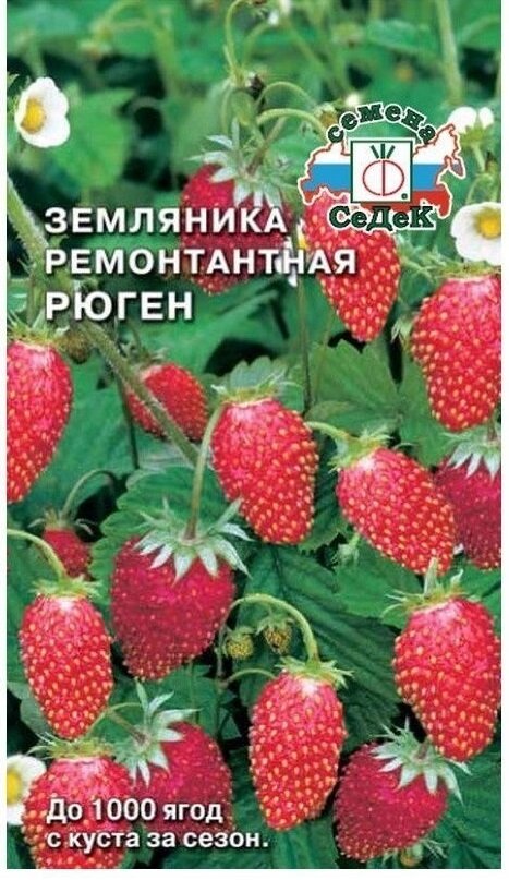 Семена Земляника ремонтантная Рюген 0,04 г (СеДеК)