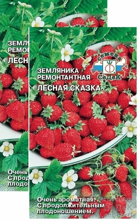 Семена Земляника ремонтантная Лесная сказка 004 г (СеДеК)  2 пакетика * 004 г
