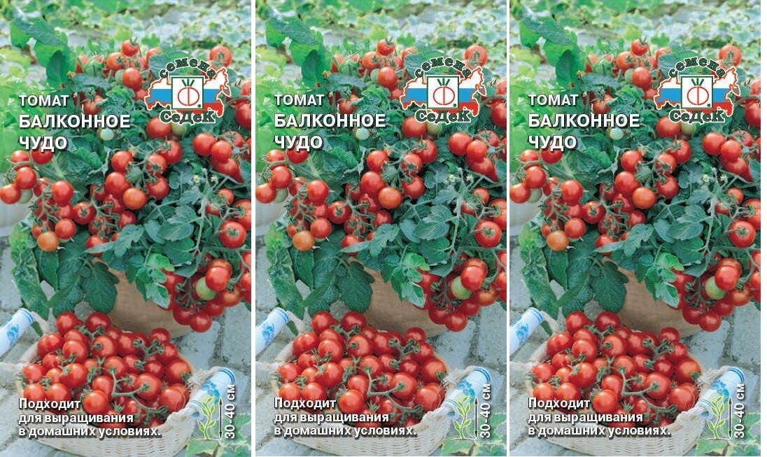 Семена Томат Балконное Чудо 01 г (СеДеК)  3 пакета * 01 г ; подходит для выращивания на балконе или подоконнике.