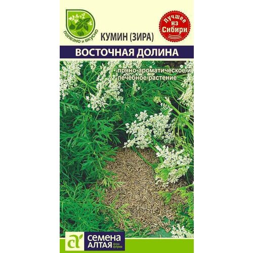 Кумин (зира) Восточная долина 1г (Семена Алтая). Для выращивания в домашних условиях: в горшке, на балконе или подоконнике базилик фиолетовый 0 3г семена алтая для выращивания в домашних условиях в горшке на балконе или подоконнике