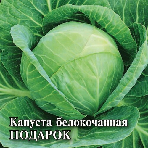 Гавриш, Семена для фермера Капуста белокочанная, Подарок (для квашения) 10 грамм