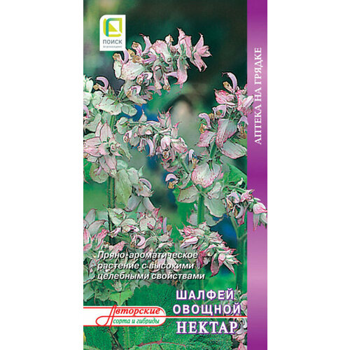 Шалфей овощной Нектар (А) 590331 шалфей овощной нектар а поиск инвест 0 5 г