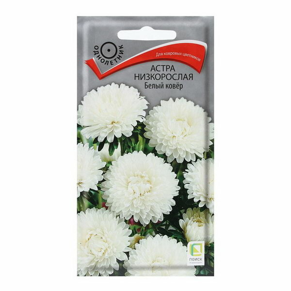 фото Семена цветов Астра низкорослая "Белый ковер" 0.2 г, 4 шт.