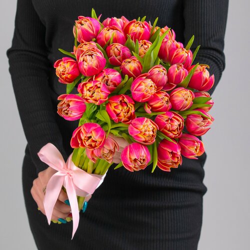 31 Тюльпан Колумбус