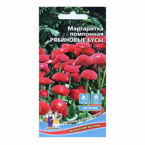 маргаритка рябиновые бусы уд 0 08 гр Семена цветов Маргаритка Рябиновые бусы, 0.03 г