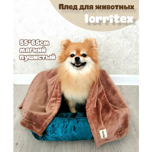 Плед, покрывало, одеяло, лежак для животных, кошек и собак Lorritex 55*65см, какао